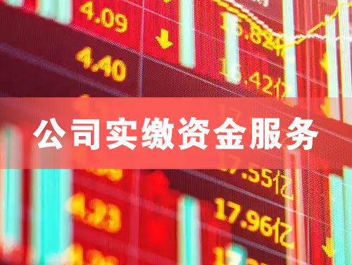 海阳公司实缴资金服务